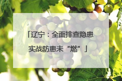 辽宁：全面排查隐患 实战防患未“燃”